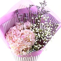 Сет Леди - от 6 букетов!