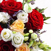 Мулен Руж(ПЕРЕИМЕНОВАТЬ!!)