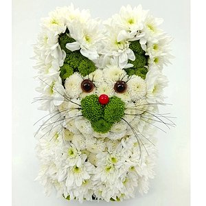 Котенок Гав