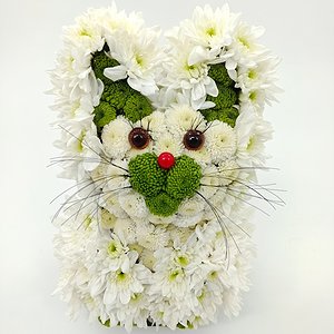 Котенок Гав