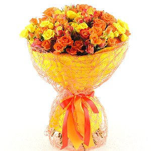Солнечная экспрессия