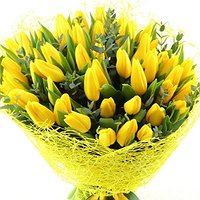 Лимончелло (51 тюльпан)