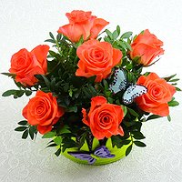 Ариэль