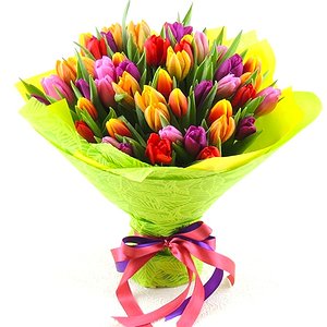 Карнавал (51 тюльпан)