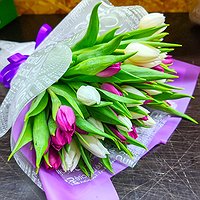 Сиреневые грёзы