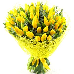 Лимончелло (51 тюльпан)