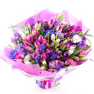 Фейерверк (Макси)