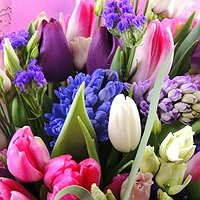 Фейерверк (Макси)