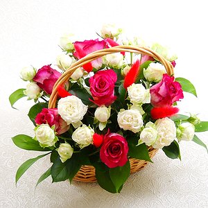 Комплимент