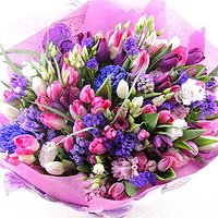 Фейерверк (Макси)