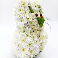 Котенок Гав