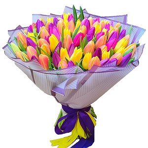 Карнавал (101 тюльпан)