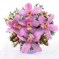 Розовый блюз
