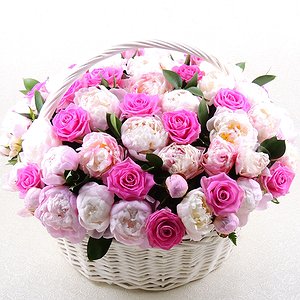 Облако пионов (51 пион)