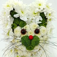 Котенок Гав