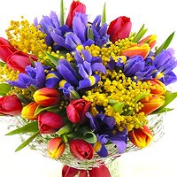 Семицветик