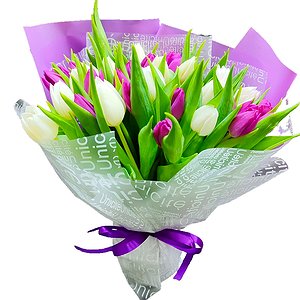 Сиреневые грёзы