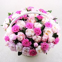 Облако пионов (51 пион)