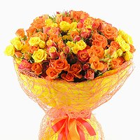 Солнечная экспрессия