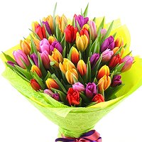 Карнавал (51 тюльпан)