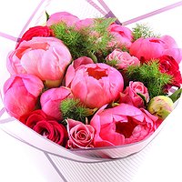 Коралловый шарм