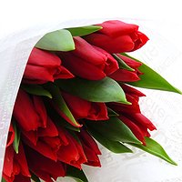 Сет 15 Леонардо - от 3 букетов!