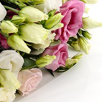 Лёгкий флирт