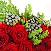Сердце
