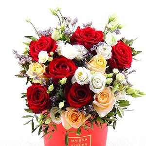 Мулен Руж(ПЕРЕИМЕНОВАТЬ!!)