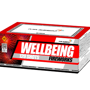 Фейерверк благополучия /Wellbeing/