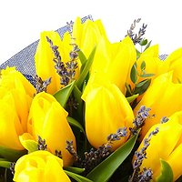 Лаванда (35 тюльпанов)