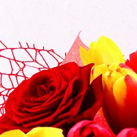 Пламенная страсть